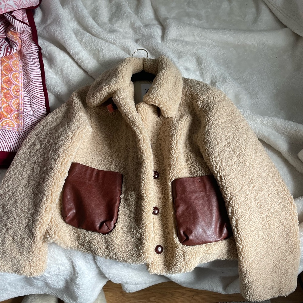 Zara Fuax Shearling Coat